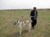 ALABAI o Alabay: i cani del TURKMENISTAN